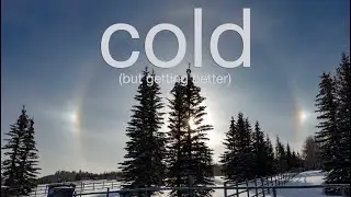 Cold (But Getting Better)