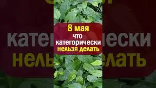 8 мая народный праздник день Марк Ключник. Что нельзя делать. Народные приметы и традиции, суеверия