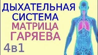 Единственная медитация Гаряева для дыхательной системы. Универсальная Матрица волновой иммунитет 4в1