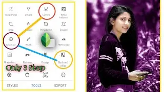 snapseed purple effect photo editing | how to Edit Photo in Snapseed | snapseed photo editing