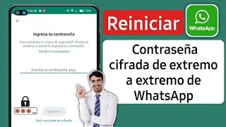 Cómo restablecer la contraseña cifrada de WhatsApp | Recuperar contraseña cifrada de WhatsApp (2024)