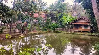 SUASANA SORE YANG TENANG DI KAMPUNG SERIBU KOLAM | perkampungan Jawa barat