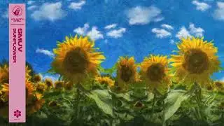 Smuv - Sunflower (Official Audio)