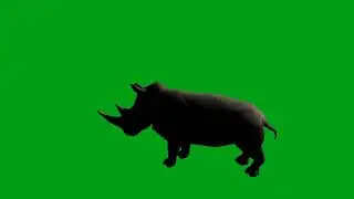 Rhinoceros attack green screen video | Copyright Free