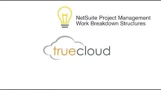 NetSuite Project Management: Creating and Organizing Project Tasks for Work Breakdown Structures