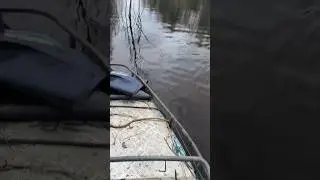 Попали в затор на рыбалке! #рыбалка #охота #природа #fishing #приключения #лес #река