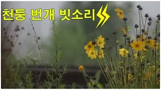 천둥 번개 빗소리 - 1시간 깊은 수면  불면증 개선 잠 잘오는 빗소리