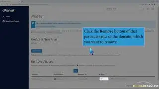 How to Remove Domain Alias or Parked Domain name in cPanel with CloudSpace
