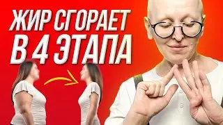 Как Быстро Похудеть Без Диет и Спорта / 4 Эффективных Способа Сбросить Лишний Вес