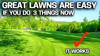 Why Lawn Companies Hate Me - Do This Right NOW & Enjoy a Great Lawn all Summer without the FUSS