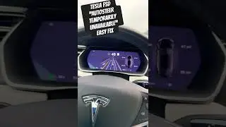 TESLA Autosteer temporarily unavailable – EASY FIX