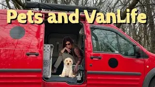 VanLife | pros and cons of pets in vans