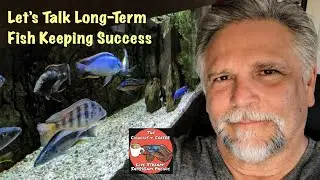 Long-Term Fish Keeping Success - Its The Cichlids & Coffee Live Stream!