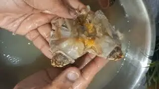 Nandu Cleaning Easy/How To Clean Crab At Home/How to clean Nandu in Home