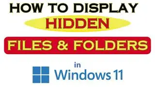 How To Display Hidden Files And Folders In Windows 11 *2024