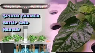 Spider Farmer Hydroponic System - Setup and Planting a Lemon Habanero