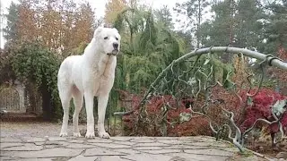 на экскурсию в питомник Усадьба Кархула!