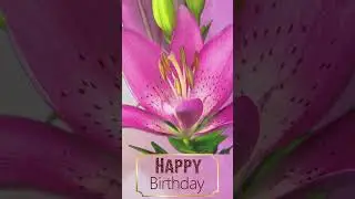 💖 Happy Birthday!💖#birthday #birthdayanimation #birthdaymessages #birthdaycelebration