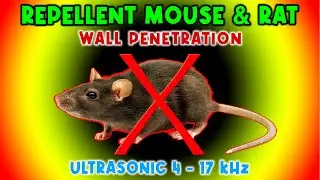 ANTI MICE & RATS REPELLENT SOUND - KEEP MICE & RATS AWAY - ULTRASONIC SOUND