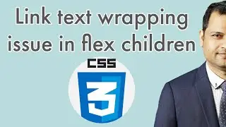 Link text wrapping issue in css flex children