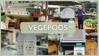 Vegepods & What to Grow | The Greenery Garden & Home