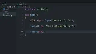 FILE INPUT OUTPUT in C | Learn C Part 12