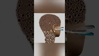 ASME DEEP EAR AND NECK CLEANING #asmr #animation #satisfyingasmr