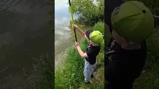 Рыбалка на карася на диком водоёме, ловля с берега #ru_kompass #fishing #fishinglife #helios #Курья