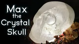 Max the Crystal Skull 💀