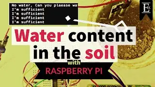Soil moisture indicator with Raspberry Pi 4 #2