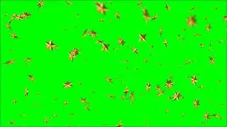 Gold Star Falling Effect in Green Screen