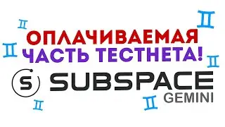 🔴Устанока ноды Subspace | Актуальный и простой гайд | Старт Gemini 2 Incentivized Testnet❗