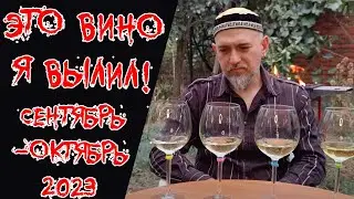 Это вино я вылил. Сентябрь - октябрь 2023