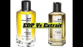 Mancera Cedrat Boise Vs Intense (Comparison)