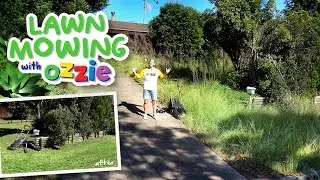 Ozzie Mows an Overgrown Yard with Help from his Fox Lawn Mowing Mates | Kids Video