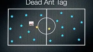 Physical Education Games - Dead Ant Tag