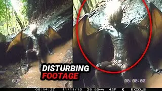 Alarming Things You WON'T Believe Were Caught On Trail Cam