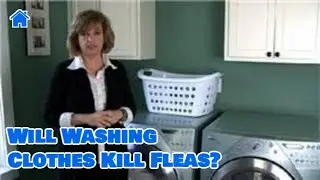 Garden & House Pests : Will Washing Clothes Kill Fleas?