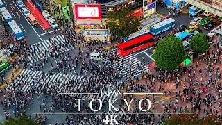 Japan Tokyo 🇯🇵 4K - Shibuya Crossing Time Lapse