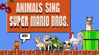 Mario theme but it sounds like animals🐸🐾😸