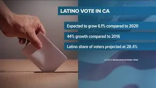 Latino voter turnout projected to set record numbers in 2024