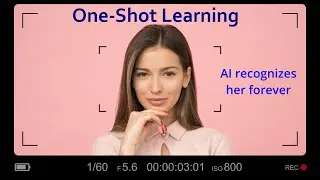 How AI Generalizes From Just One Example: One-Shot Learning