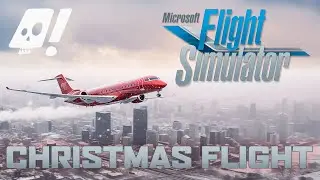 Flying Kate McCallister home to Kevin from HOME ALONE for Christmas! (Thank you to my viewers video)