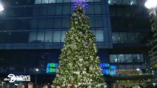 7News hosts the Rosslyn Christmas tree lighting!