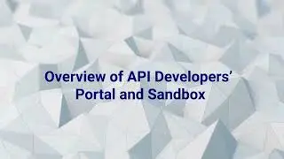 E-Invoice: Overview Of API Developers' Portal And Sandbox