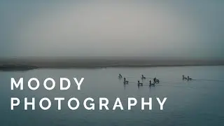 HOW TO TAKE MOODY PHOTOS | Photography Tutorial