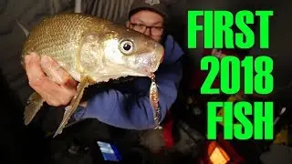 Nighttime Whitie - Lake Simcoe Whitefish
