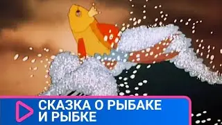 Сказка о Рыбаке и Рыбке. Советские мультфильмы  Союзмультфильм  StarMediaKids