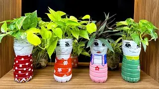 Turn water bottles into super cute dolls  Types of plants you should grow indoors