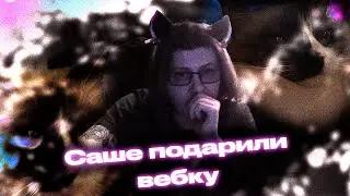 У Saneking Новая Вебка / saneking лицо | saneking нарезки